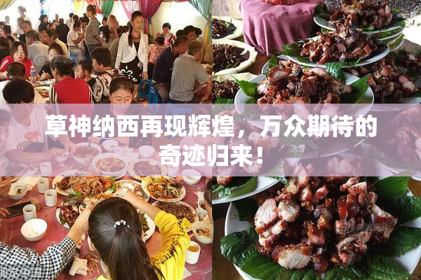 草神纳西再现辉煌，万众期待的奇迹归来！
