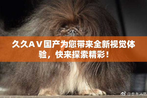 久久AⅤ国产为您带来全新视觉体验，快来探索精彩！