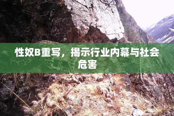性奴B重写，揭示行业内幕与社会危害
