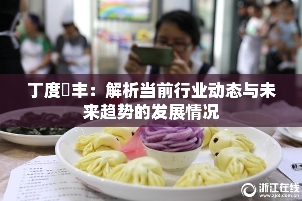 丁度巜丰：解析当前行业动态与未来趋势的发展情况
