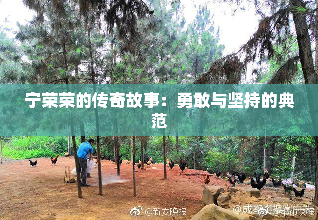 宁荣荣的传奇故事：勇敢与坚持的典范