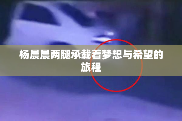 杨晨晨两腿承载着梦想与希望的旅程