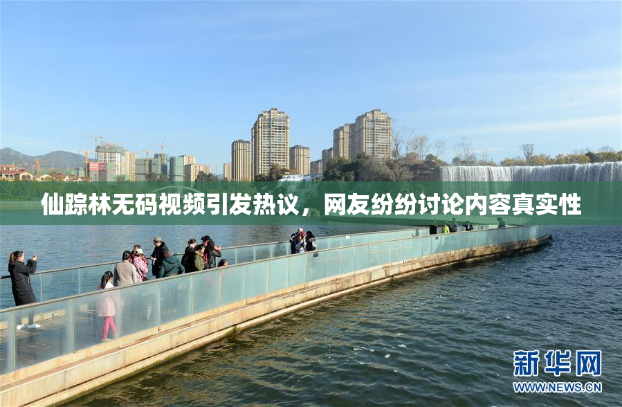 仙踪林无码视频引发热议，网友纷纷讨论内容真实性