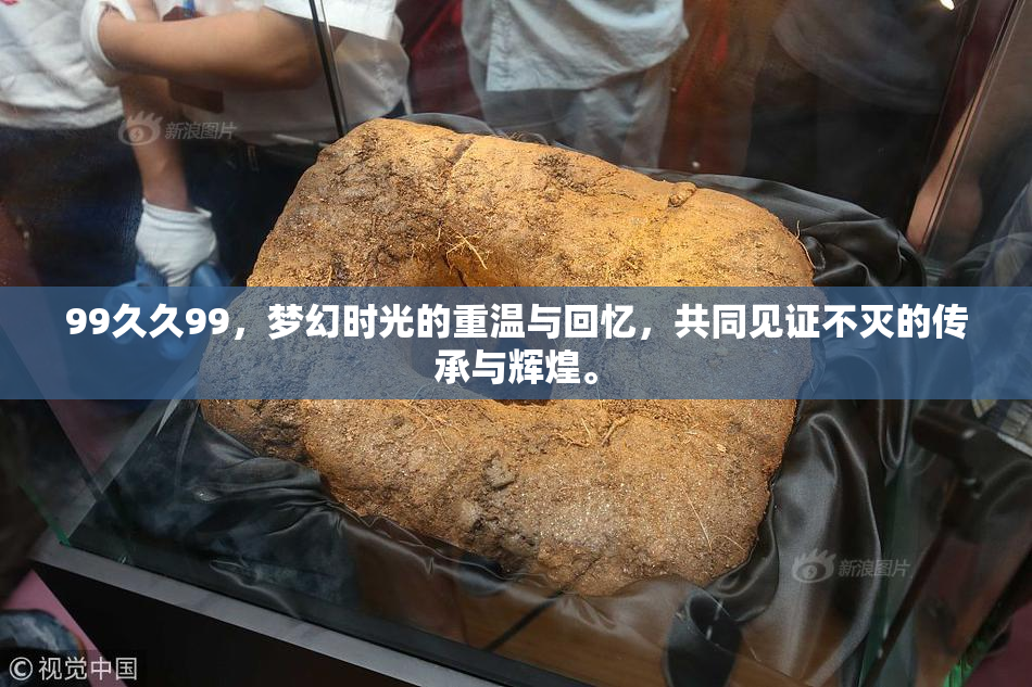 99久久99，梦幻时光的重温与回忆，共同见证不灭的传承与辉煌。
