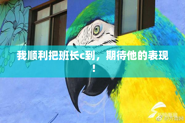 我顺利把班长c到，期待他的表现！