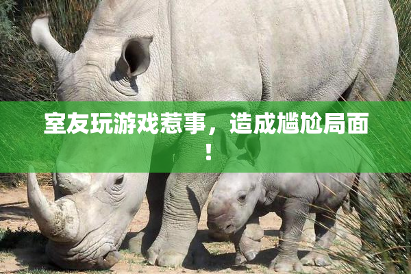 室友玩游戏惹事，造成尴尬局面！