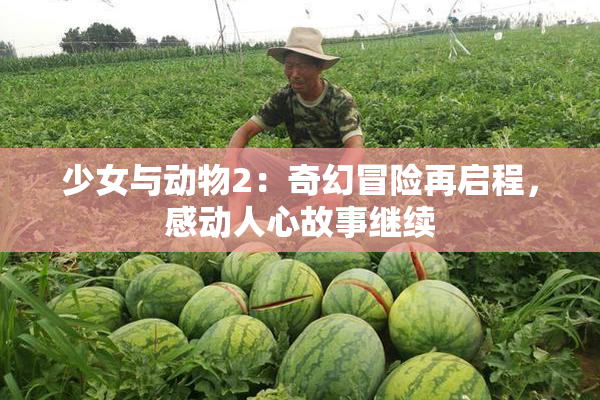 少女与动物2：奇幻冒险再启程，感动人心故事继续