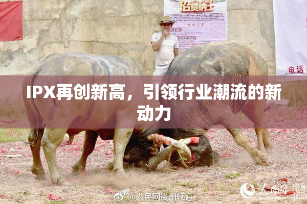IPX再创新高，引领行业潮流的新动力