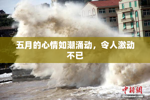 五月的心情如潮涌动，令人激动不已