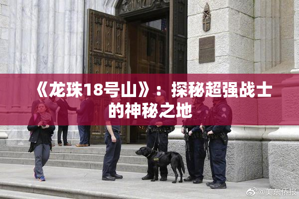 《龙珠18号山》：探秘超强战士的神秘之地