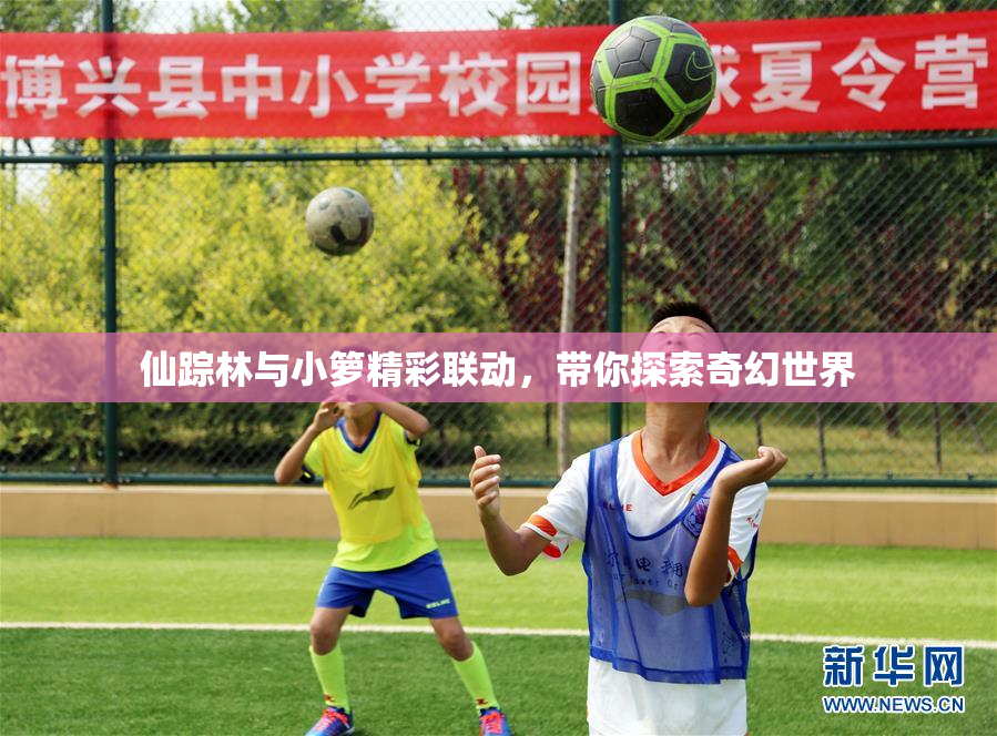 仙踪林与小箩精彩联动，带你探索奇幻世界