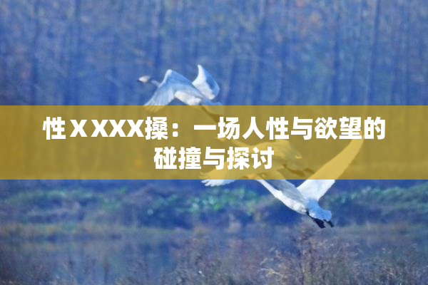 性ⅩXXX搡：一场人性与欲望的碰撞与探讨