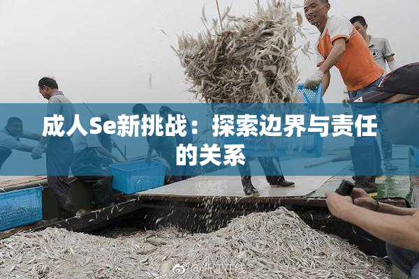 成人Se新挑战：探索边界与责任的关系