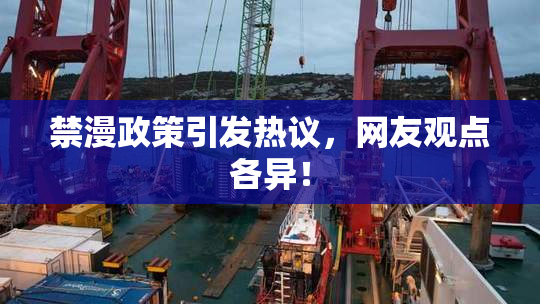 禁漫政策引发热议，网友观点各异！