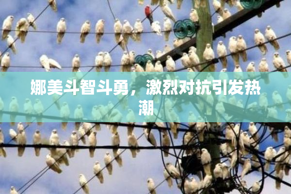 娜美斗智斗勇，激烈对抗引发热潮