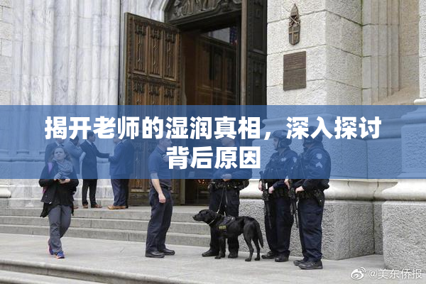 揭开老师的湿润真相，深入探讨背后原因
