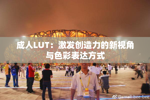成人LUT：激发创造力的新视角与色彩表达方式