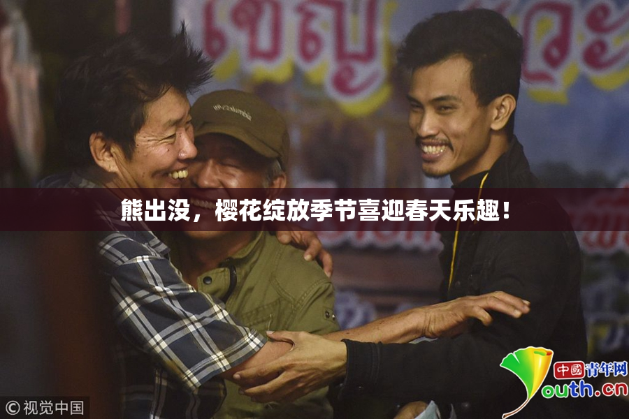 熊出没，樱花绽放季节喜迎春天乐趣！