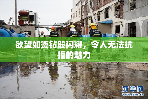 欲望如烫钻般闪耀，令人无法抗拒的魅力
