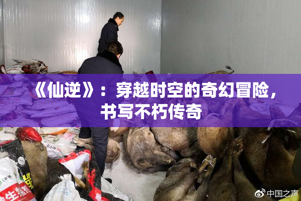 《仙逆》：穿越时空的奇幻冒险，书写不朽传奇