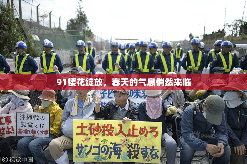 91樱花绽放，春天的气息悄然来临