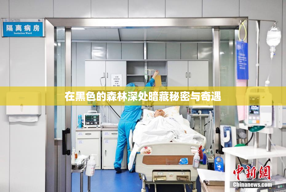 在黑色的森林深处暗藏秘密与奇遇