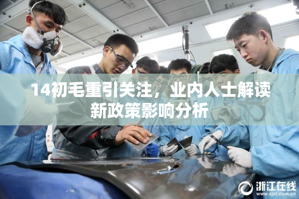14初毛重引关注，业内人士解读新政策影响分析