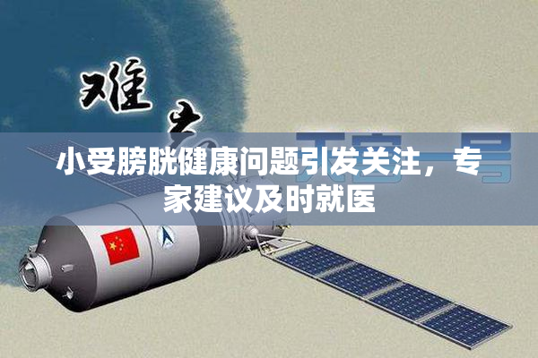 小受膀胱健康问题引发关注，专家建议及时就医