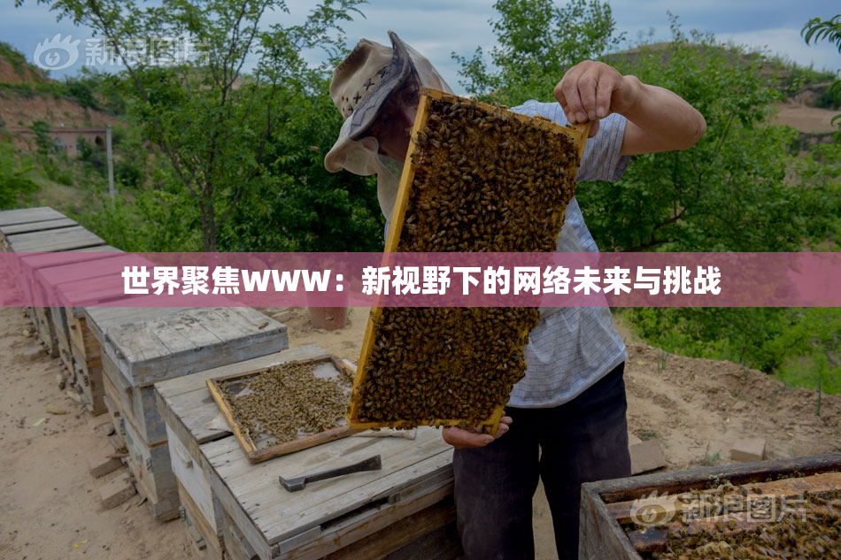 世界聚焦WWW：新视野下的网络未来与挑战