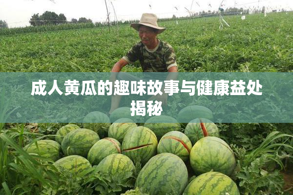 成人黄瓜的趣味故事与健康益处揭秘