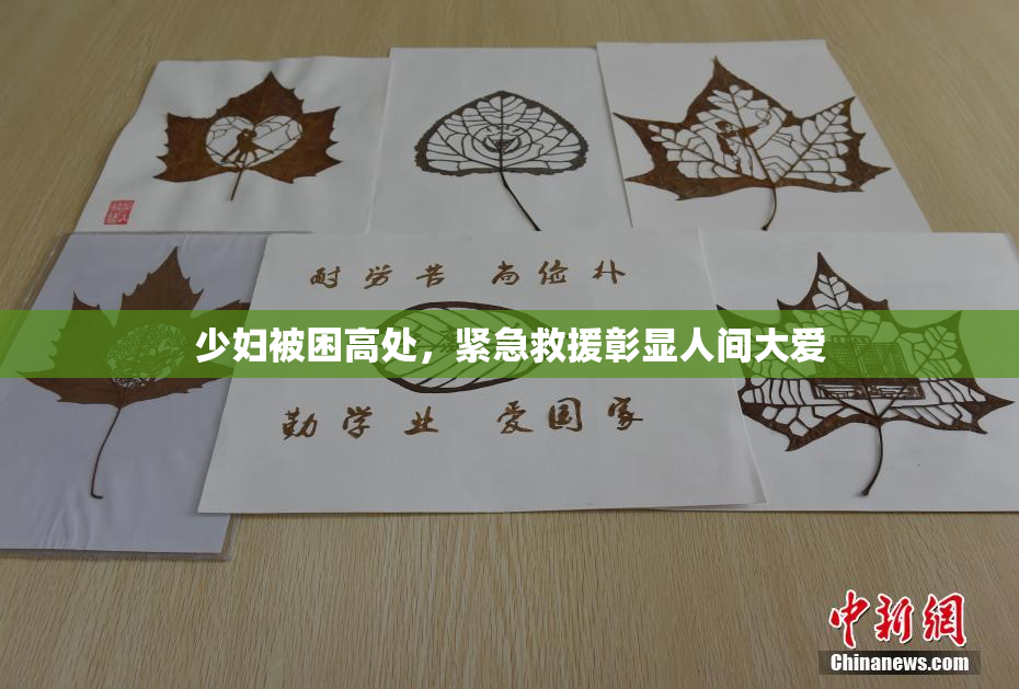 少妇被困高处，紧急救援彰显人间大爱