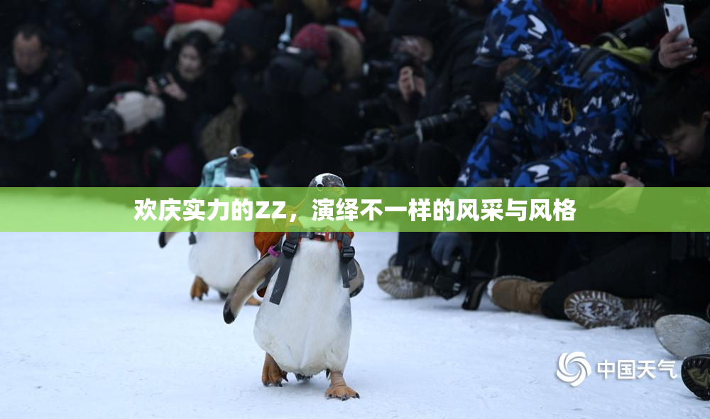 欢庆实力的ZZ，演绎不一样的风采与风格