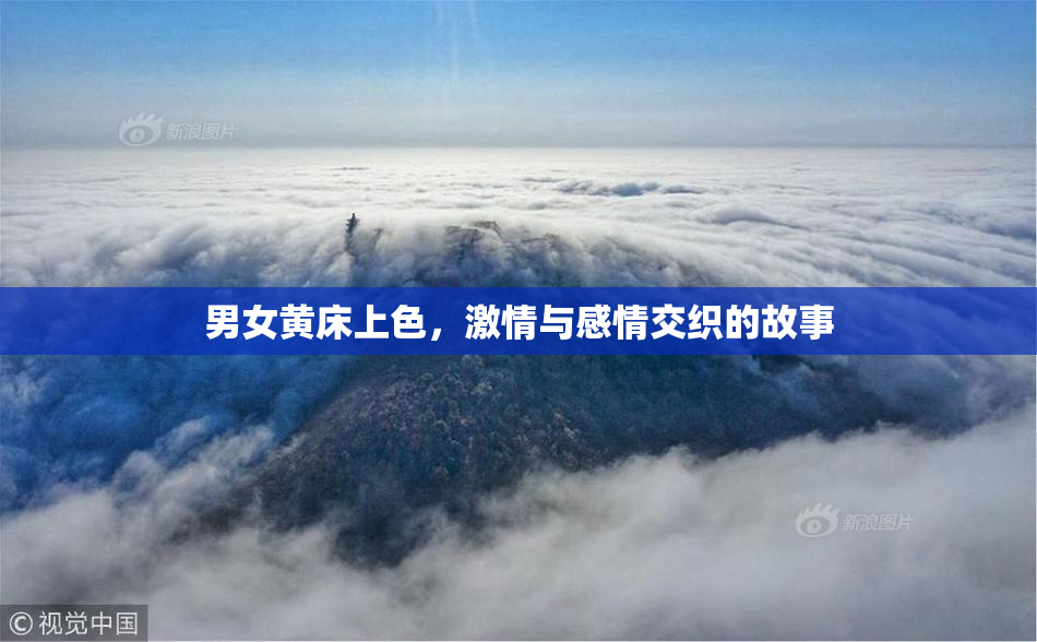 男女黄床上色，激情与感情交织的故事