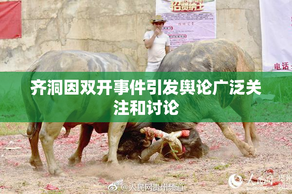 齐洞因双开事件引发舆论广泛关注和讨论