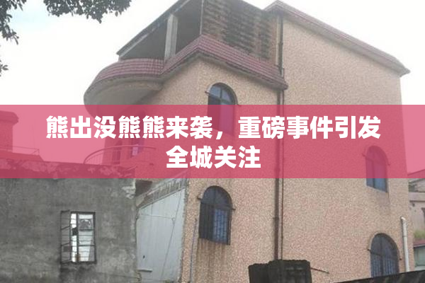 熊出没熊熊来袭，重磅事件引发全城关注