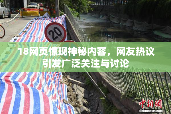 18网页惊现神秘内容，网友热议引发广泛关注与讨论