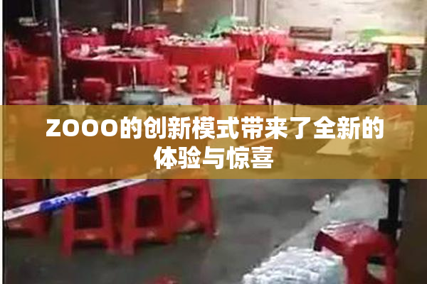 ZOOO的创新模式带来了全新的体验与惊喜