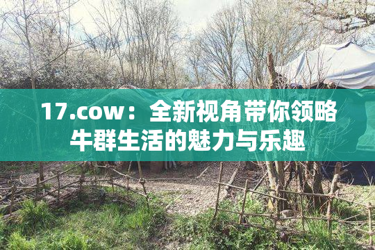 17.cow：全新视角带你领略牛群生活的魅力与乐趣