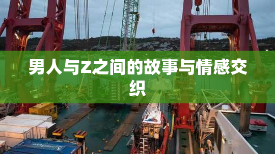 男人与Z之间的故事与情感交织