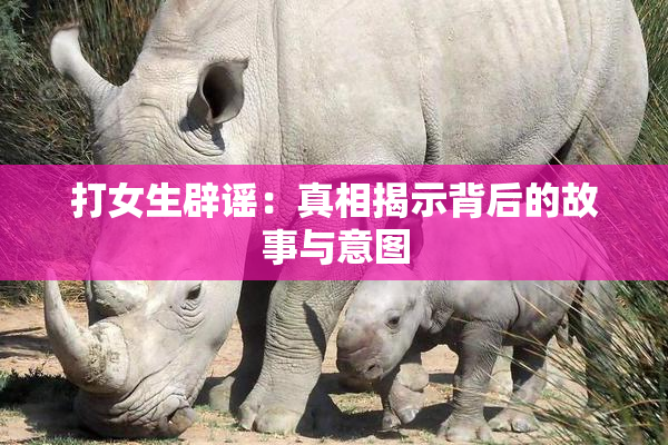 打女生辟谣：真相揭示背后的故事与意图