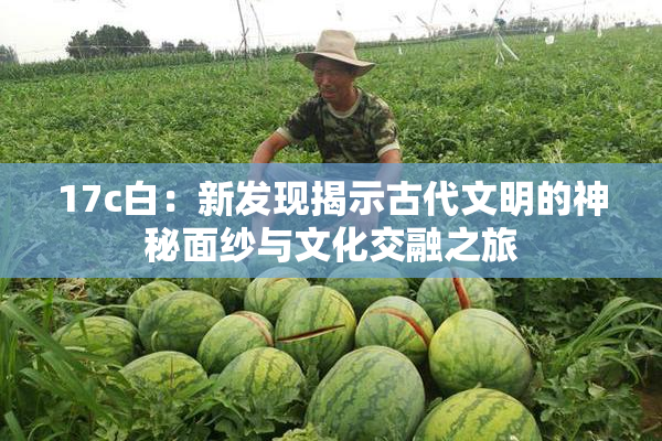 17c白：新发现揭示古代文明的神秘面纱与文化交融之旅