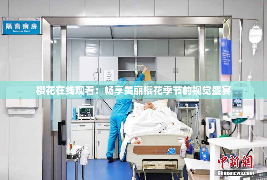 樱花在线观看：畅享美丽樱花季节的视觉盛宴