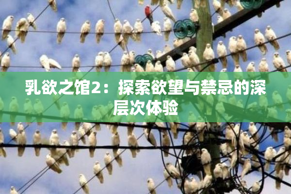乳欲之馆2：探索欲望与禁忌的深层次体验