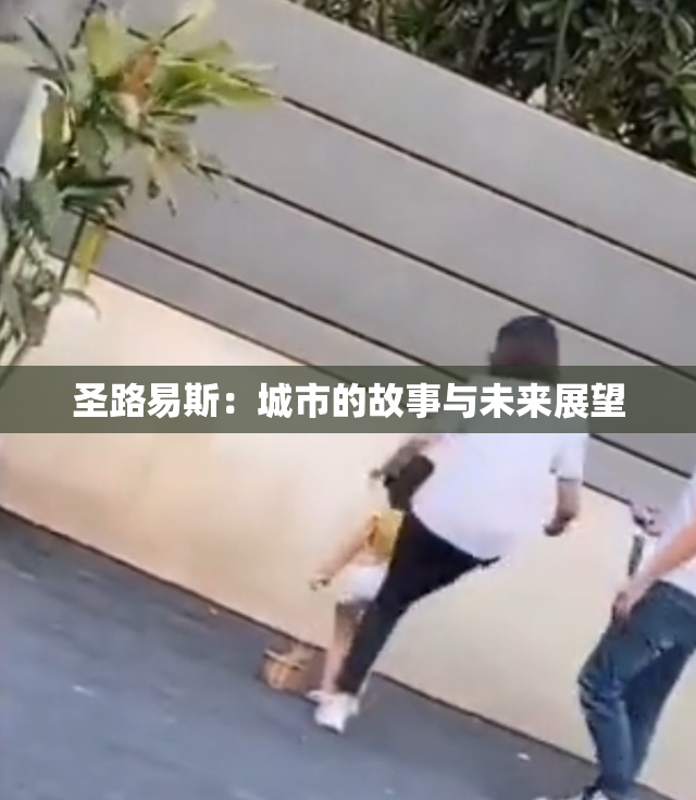 圣路易斯：城市的故事与未来展望