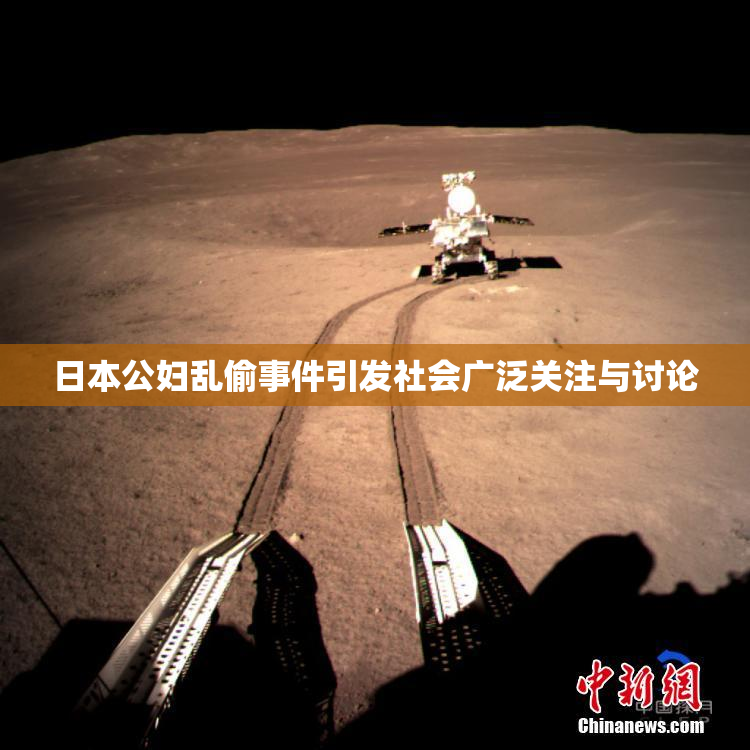 日本公妇乱偷事件引发社会广泛关注与讨论