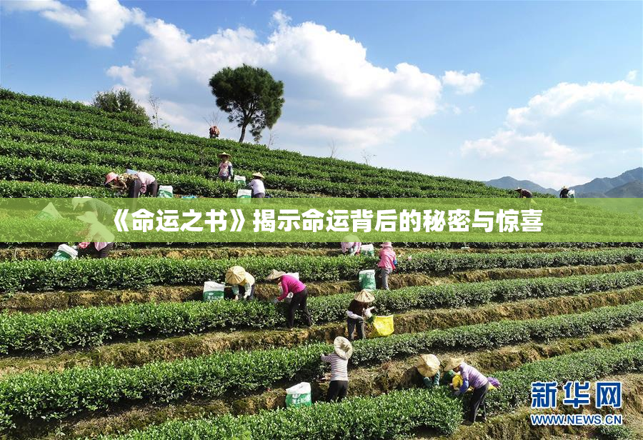 《命运之书》揭示命运背后的秘密与惊喜