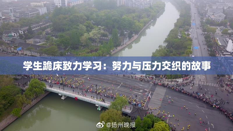 学生跪床致力学习：努力与压力交织的故事