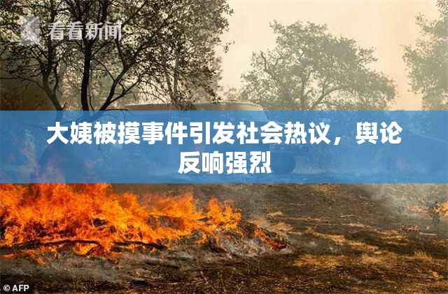 大姨被摸事件引发社会热议，舆论反响强烈