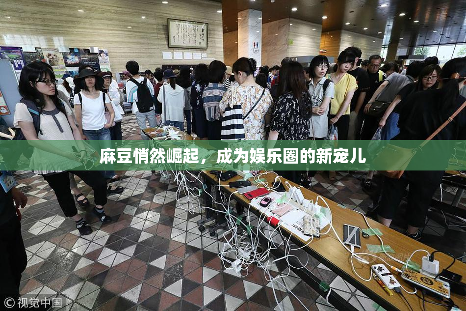麻豆悄然崛起，成为娱乐圈的新宠儿