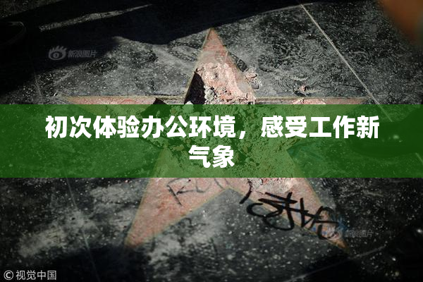 初次体验办公环境，感受工作新气象